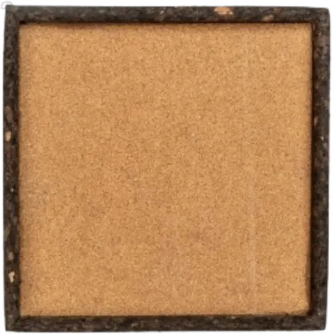 Square Tray