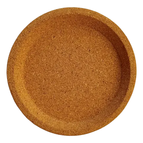 In Depth Coaster